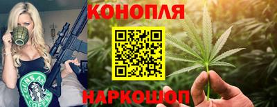 стаф Свободный
