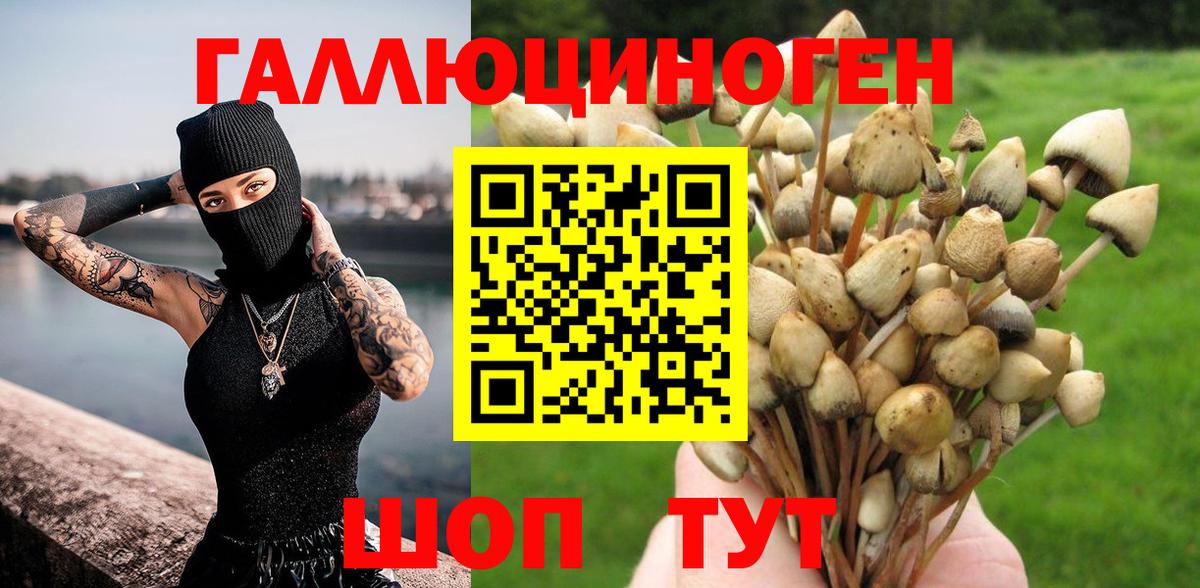 Галлюциногенные грибы Psilocybine cubensis Норильск